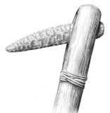 Dolkstav, Danish neolithic, daggerstaf, funnelbaker culture, trb,